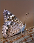 DigitalScape Photography Images